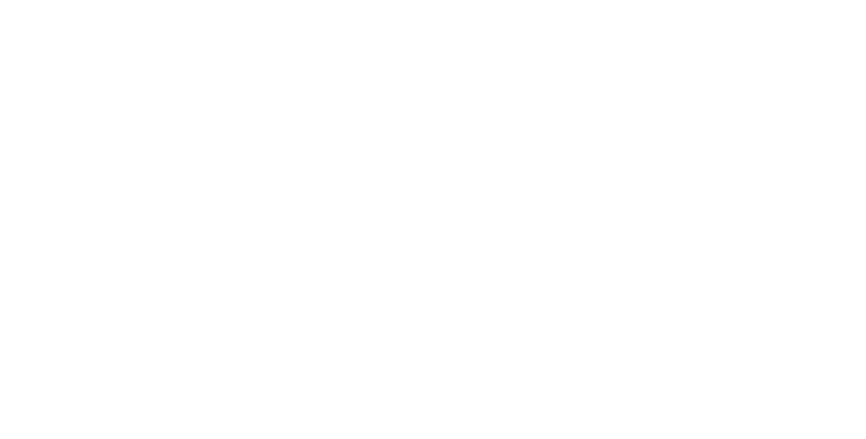 VP of Software Engineering