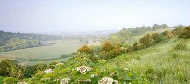 UK - Surrey