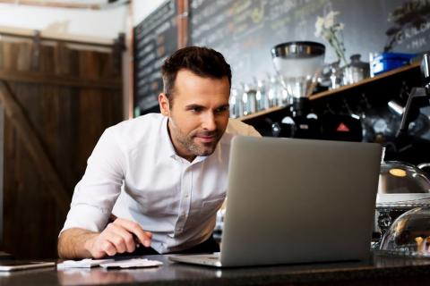 A professional analysing skill gap data on a laptop, representing workforce planning and talent development.